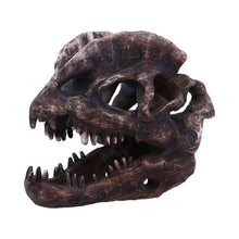 Laden Sie das Bild in den Galerie-Viewer, Dilophosaurus Dinosaur Skull Replica Realistic Resin Fossil Model Jurassic Fossil