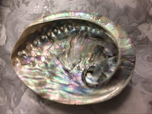 Load image into Gallery viewer, Abalone Shell