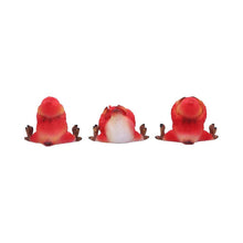 Laden Sie das Bild in den Galerie-Viewer, Three Wise Comical Birds Figurines See Hear Speak No Evil Wisdom Ornaments
