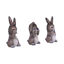 Laden Sie das Bild in den Galerie-Viewer, Farm Animal Wisdom Figurines Three Wise Donkeys Ornament Easter Statue Gift