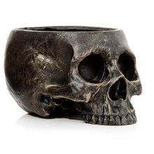 Laden Sie das Bild in den Galerie-Viewer, Gothic Skull Garden Planter Resin Plant Pot Dark Fantasy Lawn Patio Decor 19.5cm