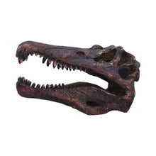 Laden Sie das Bild in den Galerie-Viewer, Realistic Spinosaurus Dinosaur Skull Model Replica Skeleton Sculpture Home Gift