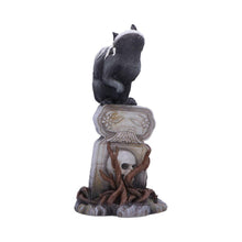 Laden Sie das Bild in den Galerie-Viewer, Gothic Skull Cat Ornament by Martin Hanford – 15cm Collectible Gothic Figurine