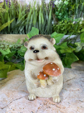 Laden Sie das Bild in den Galerie-Viewer, Whimsical Hedgehog Garden Ornament Handmade Resin Figurine Home Decor-OsirisTradingUK
