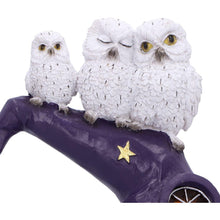 Laden Sie das Bild in den Galerie-Viewer, Magical Owl Witch Hat LED Ornament Wiccan Altar Figurine Spooky Halloween