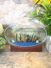 Load image into Gallery viewer, Sea Themed Starfish Gel Glass Candle on Wooden Stand - 23 cm x 16.5 cm - Nautical Home Decor, Coastal Ambiance-OsirisTradingUK