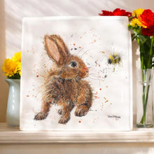 Load image into Gallery viewer, BINKY & BUMBLE Ceramic Art Tile by Bree Merryn | 20x20 cm Wall Art | Cute Rabbit & Bumblebee | Ready to Hang