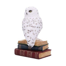 Load image into Gallery viewer, Snow Owl Statue on Stacked Books – Wizardry Gothic Decor Nemesis Now 17cm