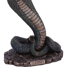Laden Sie das Bild in den Galerie-Viewer, Medusa's Wrath Figurine Mythology Gothic Collectible Statue fantasy Art Decor Gift