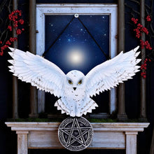Laden Sie das Bild in den Galerie-Viewer, Mystical Snowy Owl Hanging Pagan Pentacle Talisman Wiccan Witchcraft Wall Art