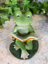 Load image into Gallery viewer, Hilarious Resin Frog Reading Book 15.5 cm Tall Garden Ornament Patio Decor-OsirisTradingUK