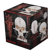 Load image into Gallery viewer, Gothic Viking Nordic Rune Skull Ornament with Bone & Chain Decor Horror Statue