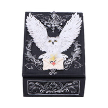 Load image into Gallery viewer, Gothic Owl Messenger Box Wiccan Witchcraft Storage Keepsake Fantasy Ornament