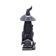 Laden Sie das Bild in den Galerie-Viewer, Little Souls Shine Figurine Mystical Witch & Spell book Gothic Wiccan Altar Decor