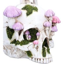 Load image into Gallery viewer, Fantasy Skull Sculpture Mushroom Garden Ornament Gothic Decorative Display