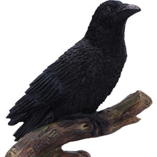 Load image into Gallery viewer, Raven Perched Gothic Figurine Witchy Wildlife Decor Mythical Bird Wiccan Statue