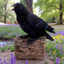 Load image into Gallery viewer, Ravens Cry Motion Activated Gothic Figurine Sound Sensor Bird Statue Crow Decor