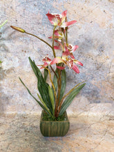 Laden Sie das Bild in den Galerie-Viewer, Elegant Artificial Orchids Display in 20 cm Tall Plant Pot - Lifelike Home Decor-OsirisTradingUK