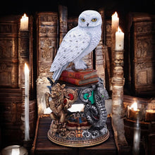 Load image into Gallery viewer, Harry Potter Hedwig Owl Figurine 22cm - Officially Licensed Collectible