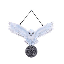 Laden Sie das Bild in den Galerie-Viewer, Mystical Snowy Owl Hanging Pagan Pentacle Talisman Wiccan Witchcraft Wall Art