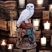 Load image into Gallery viewer, Harry Potter Hedwig Owl Figurine 22cm - Officially Licensed Collectible