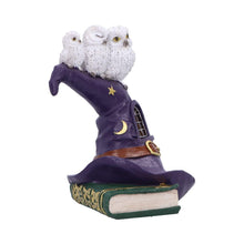 Laden Sie das Bild in den Galerie-Viewer, Magical Owl Witch Hat LED Ornament Wiccan Altar Figurine Spooky Halloween