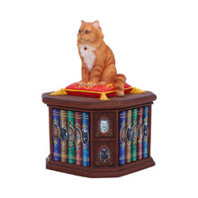 Load image into Gallery viewer, Mad About Cats Storage Box Bookcase Figurine Wiccan Alter Fantasy Ornament