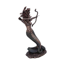 Laden Sie das Bild in den Galerie-Viewer, Medusa's Wrath Figurine Mythology Gothic Collectible Statue fantasy Art Decor Gift