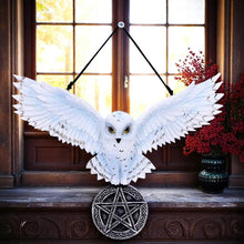 Laden Sie das Bild in den Galerie-Viewer, Mystical Snowy Owl Hanging Pagan Pentacle Talisman Wiccan Witchcraft Wall Art