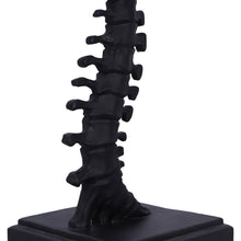 Laden Sie das Bild in den Galerie-Viewer, Gothic Vertebrae Table Lamp Spine Light with Shade Halloween Horror Decor