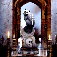 Laden Sie das Bild in den Galerie-Viewer, Gothic Skull Cat Ornament by Martin Hanford – 15cm Collectible Gothic Figurine