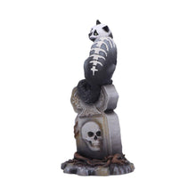 Laden Sie das Bild in den Galerie-Viewer, Gothic Skull Cat Ornament by Martin Hanford – 15cm Collectible Gothic Figurine