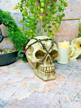 Load image into Gallery viewer, Barbed Skull Sculpture Figurine Gothic Horror Ornament Figure Decoration Gift-OsirisTradingUK