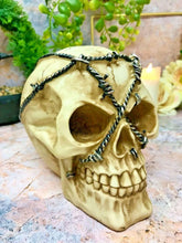 Load image into Gallery viewer, Barbed Skull Sculpture Figurine Gothic Horror Ornament Figure Decoration Gift-OsirisTradingUK