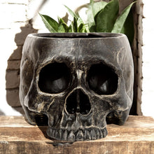 Laden Sie das Bild in den Galerie-Viewer, Gothic Skull Garden Planter Resin Plant Pot Dark Fantasy Lawn Patio Decor 19.5cm