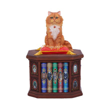 Load image into Gallery viewer, Mad About Cats Storage Box Bookcase Figurine Wiccan Alter Fantasy Ornament