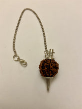 Load image into Gallery viewer, Rudraksha Dowsing Pendulum with Clasps - Natural Energy Healing Tool, 22cm Chain Length