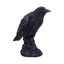 Laden Sie das Bild in den Galerie-Viewer, Gothic Raven Figurine Black Crow Resin Statue Dark Home Decor Altar Ornament 25cm