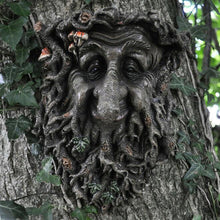 Load image into Gallery viewer, Man Of Forest GreenMan Tree Face Leaf Plaque Wall Garden Ornament New & Boxed-OsirisTradingUK