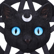 Load image into Gallery viewer, Feline Worship Cat Pentagram Wall Plaque 25.5cm