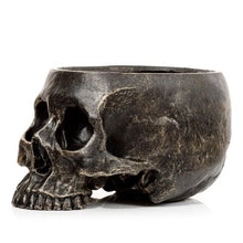 Laden Sie das Bild in den Galerie-Viewer, Gothic Skull Garden Planter Resin Plant Pot Dark Fantasy Lawn Patio Decor 19.5cm
