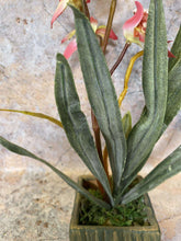 Laden Sie das Bild in den Galerie-Viewer, Elegant Artificial Orchids Display in 20 cm Tall Plant Pot - Lifelike Home Decor-OsirisTradingUK