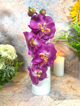 Laden Sie das Bild in den Galerie-Viewer, Artificial Orchids | Life-Like Floral Decor | Faux Flowers White Metal Display | Wall Mounted & Freestanding | Elegant Home Accent-OsirisTradingUK