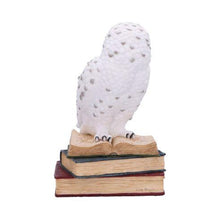 Load image into Gallery viewer, Snow Owl Statue on Stacked Books – Wizardry Gothic Decor Nemesis Now 17cm