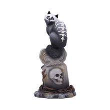 Laden Sie das Bild in den Galerie-Viewer, Gothic Skull Cat Ornament by Martin Hanford – 15cm Collectible Gothic Figurine