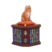 Load image into Gallery viewer, Mad About Cats Storage Box Bookcase Figurine Wiccan Alter Fantasy Ornament