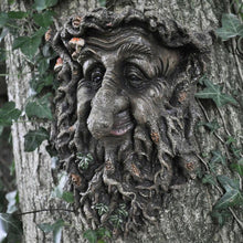 Load image into Gallery viewer, Man Of Forest GreenMan Tree Face Leaf Plaque Wall Garden Ornament New & Boxed-OsirisTradingUK