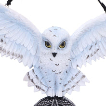 Laden Sie das Bild in den Galerie-Viewer, Mystical Snowy Owl Hanging Pagan Pentacle Talisman Wiccan Witchcraft Wall Art