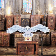 Load image into Gallery viewer, Harry Potter Hedwig Wall Plaque 45cm - Officially Licensed Wizarding World Collectible