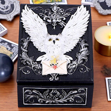 Load image into Gallery viewer, Gothic Owl Messenger Box Wiccan Witchcraft Storage Keepsake Fantasy Ornament